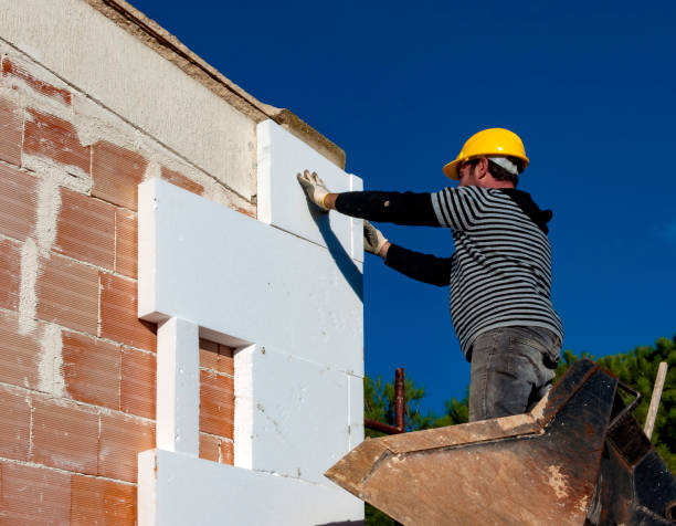 Best Insulation Removal  in Mccamey, TX