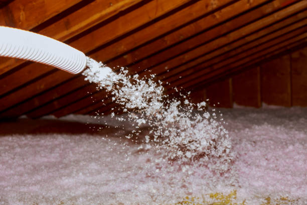 Garage Insulation Installation in Mccamey, TX