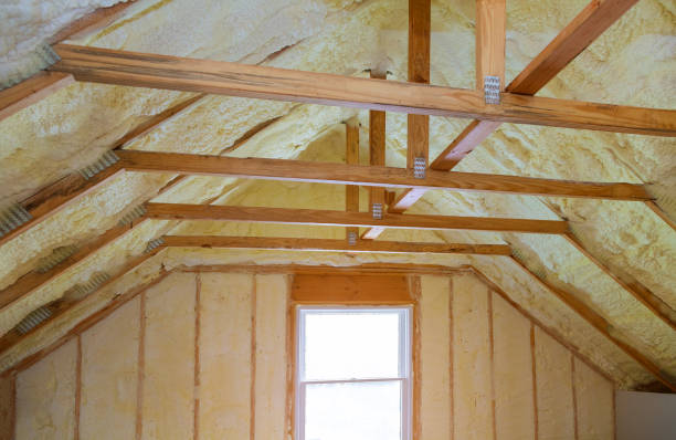 Best Crawl Space Insulation  in Mccamey, TX