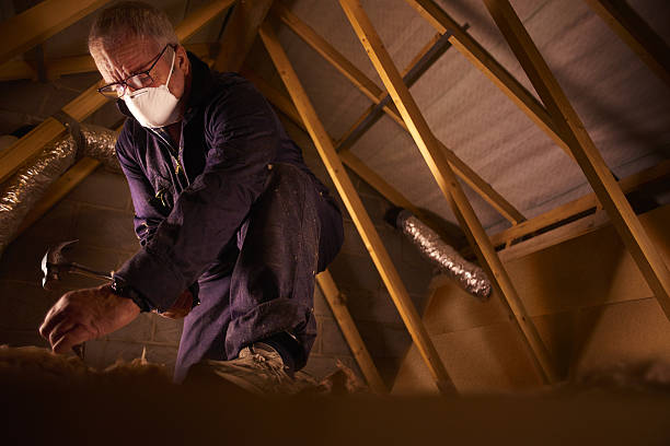 Best Energy-efficient Insulation  in Mccamey, TX